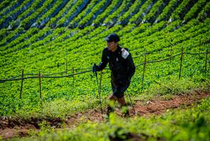 BIB: 
                            <button type="button" onclick="openModal(19162287)" class="btn btn-primary btn-sm float-right btn-popup" data-toggle="modal" data-target=".modal-high-quality">
                        <i class="fas fa-shopping-cart"></i> Add to Cart
                    </button>
                                            <button type="button" onclick="isThisMe(19162287, true)" class="btn btn-success btn-sm float-right btn-popup btn-isme hidden" data-toggle="tooltip" data-placement="bottom" title="นี่คือรูปของคุณใช่ไหม คลิกที่นี่เพื่อเอาเข้าอัลบั้ม">
                        <i class="fas fa-plus"></i> Add to album
                    </button>
                    <button type="button" onclick="isThisMe(19162287, false)" class="btn btn-warning btn-sm float-right btn-popup btn-isnotme hidden">
                        <i class="fas fa-ban"></i> Remove from album
                    </button>